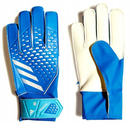 Adidas Predator IA0876 Training goalkeeper gloves