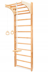 Corrective gymnastic ladder for home rehabilitation Pelltech