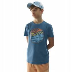 Youth T-shirt 4F, fashionable sports T-shirt for Boys, size 164