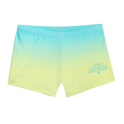 Boys' Swim Shorts 4F Quick-Dry