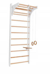 Pelltech gymnastic ladder for youth corrective exercises