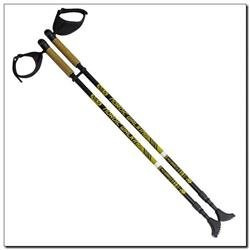 NW603 Nordic Walking Nils sticks