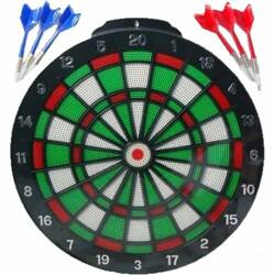 Professional Dartboard for Playing Darts