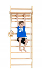 SPORTS CORRECTIONAL TRAINING LADDER BEECH PELLTECH 220x80cm