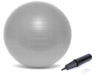 Rehabilitation Gym Ball 65 cm with Pump