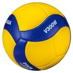Training volleyball MIKASA FIVB V300W size 5