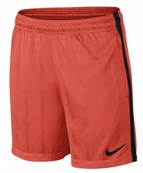 Nike Kids' Shorts Squad 870121-852