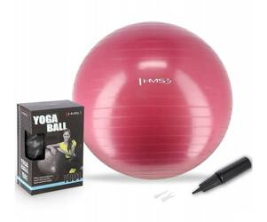 REHABILITATION GYMNASTIC BALL HMS 65 cm YB01