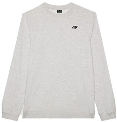 Men's Sports Sweatshirt 4F M1629