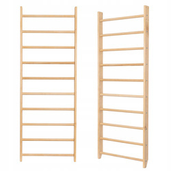 Home Training Sports Ladder Pelltech 240x80cm