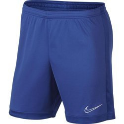 Nike Shorts AJ9994-480