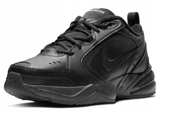 Buty męskie sportowe NIKE sneakresy 415445-001 r 43