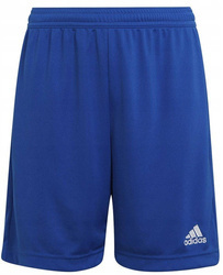 SPODENKI PIŁKARSKIE ADIDAS ENTRADA 22 HG6291 JR