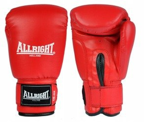 Boxing gloves AllRight 12 OZ