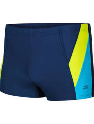 Men's Swim Shorts Logan