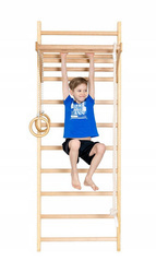 SPORTS CORRECTIONAL TRAINING LADDER BEECH PELLTECH 240x80cm