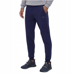 Men's cotton training sweatpants 4F r XXL