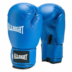 Training Boxing Gloves Allright PVC